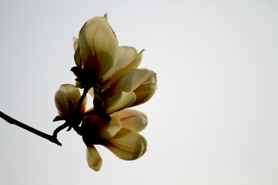 何征照片 395.jpg