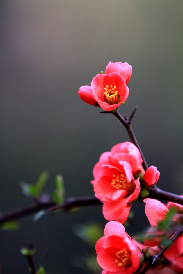 何征照片 322.jpg