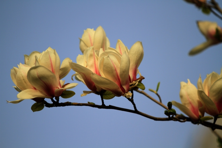 何征照片 380.jpg