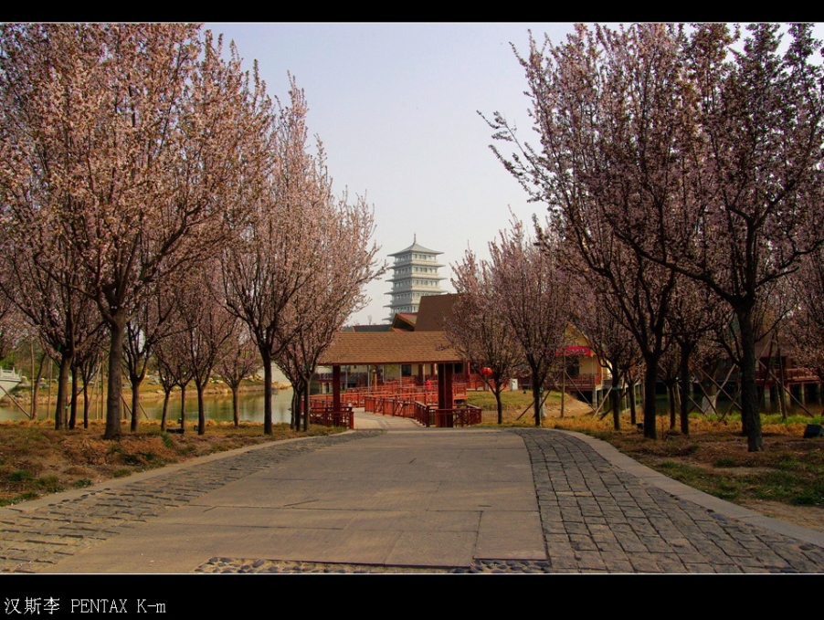 IMGP3025.jpg