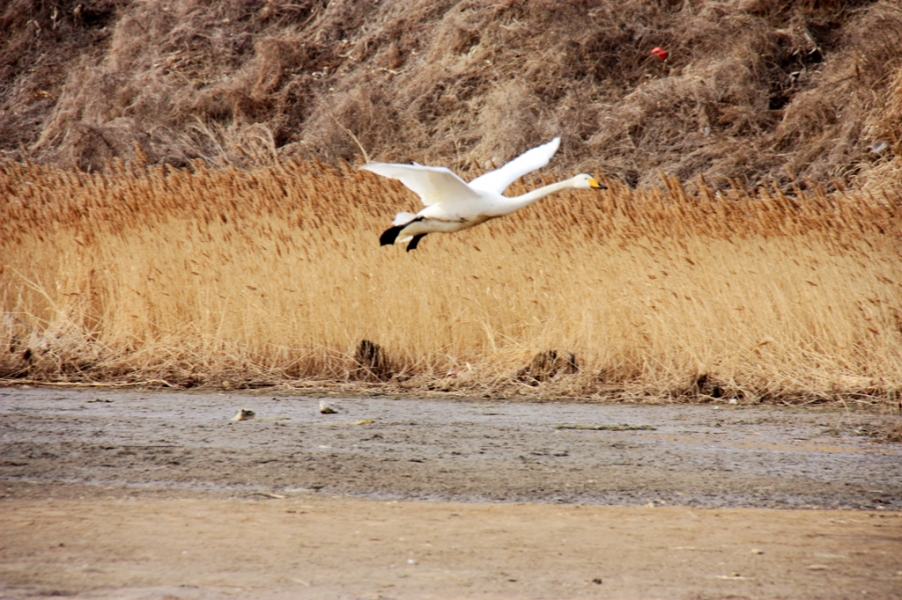 IMG_4462_副本.jpg