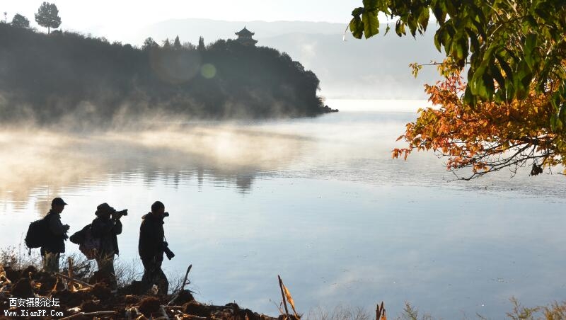 ddddddddddddddfdddddddddddddd 818-1.jpg