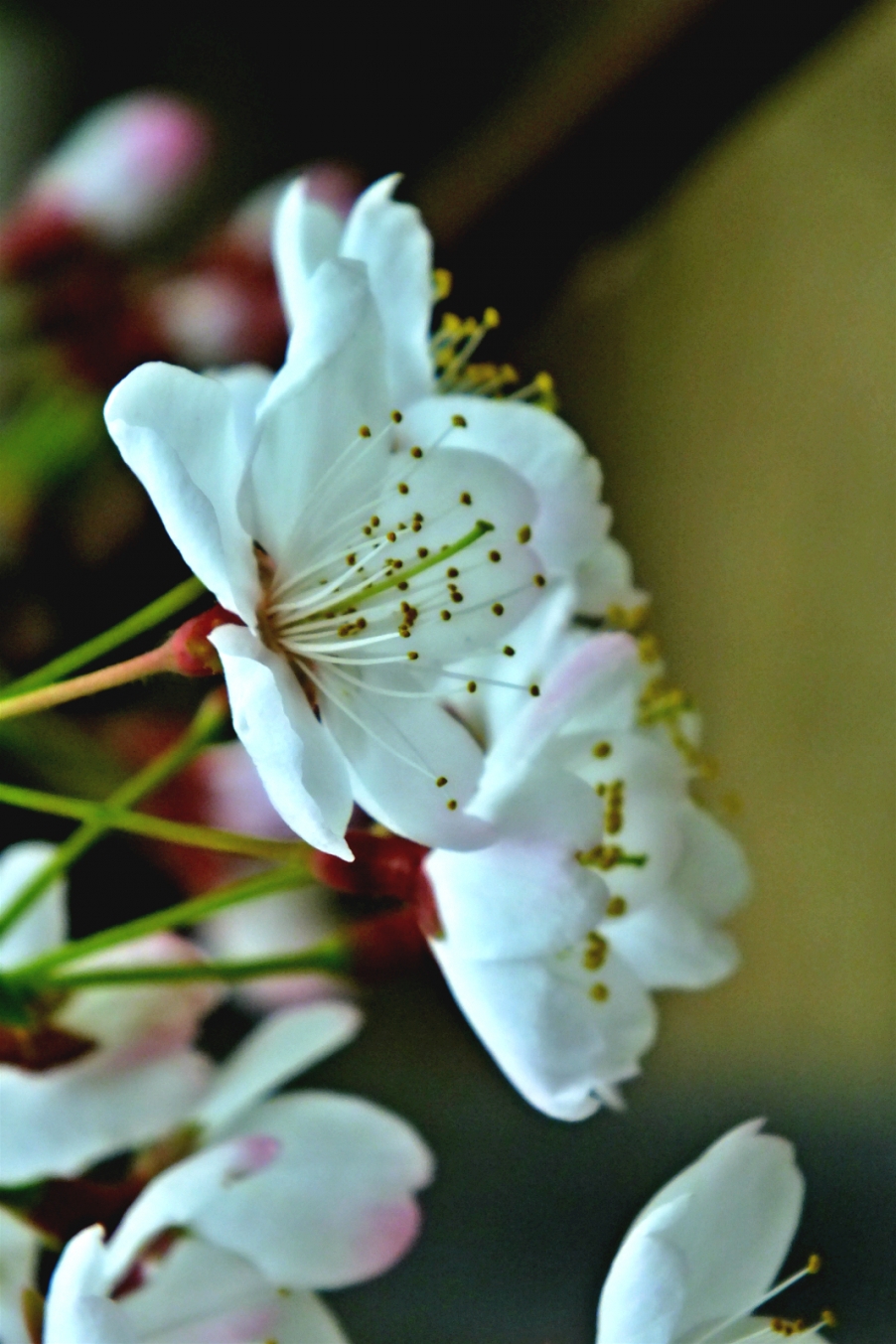 DSCF4109_meitu_4.jpg