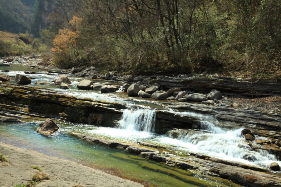 DPP_00202.JPG