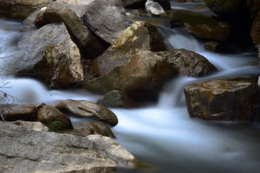 D600最近3月份拍摄 622.JPG