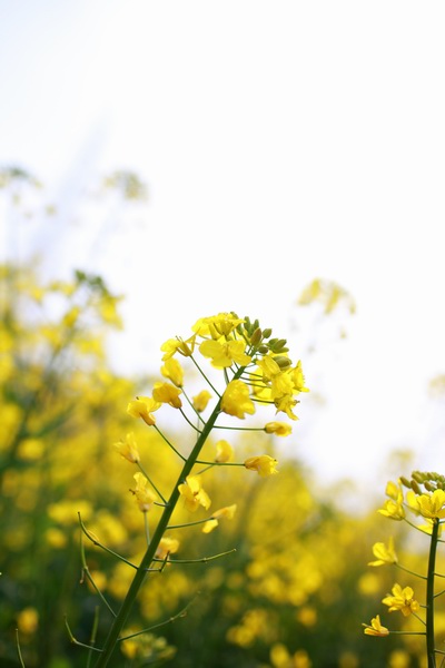 调整大小 IMG_4877@.JPG