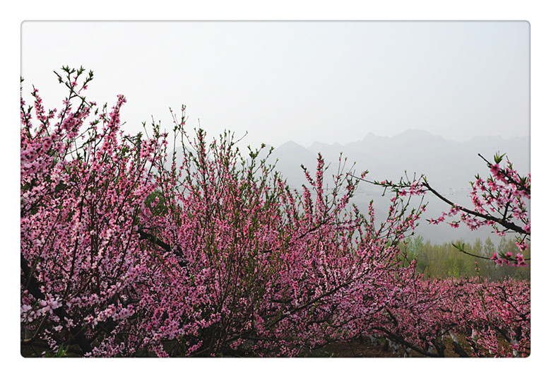 DSC_0017_副本.jpg