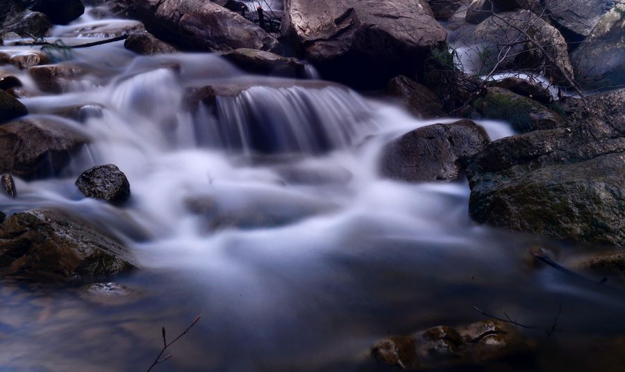 DSC_4869.JPG
