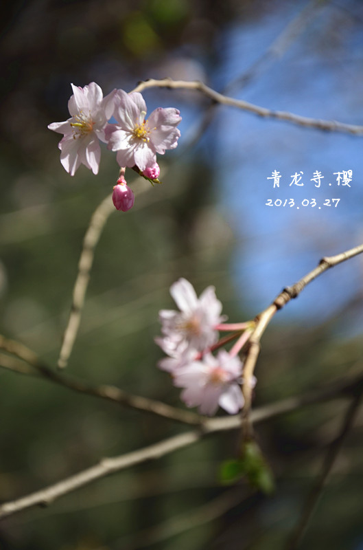 zhx_8394_副本.jpg