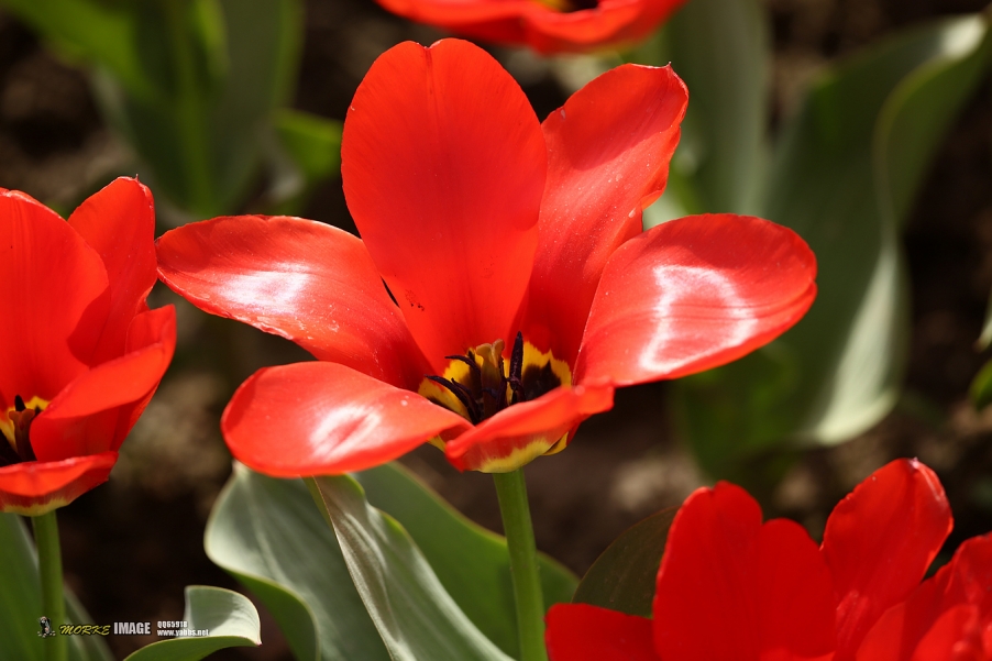 1G8A4699a.jpg