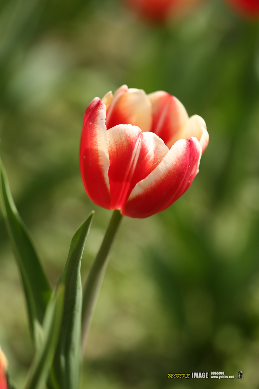 1G8A4843a.jpg