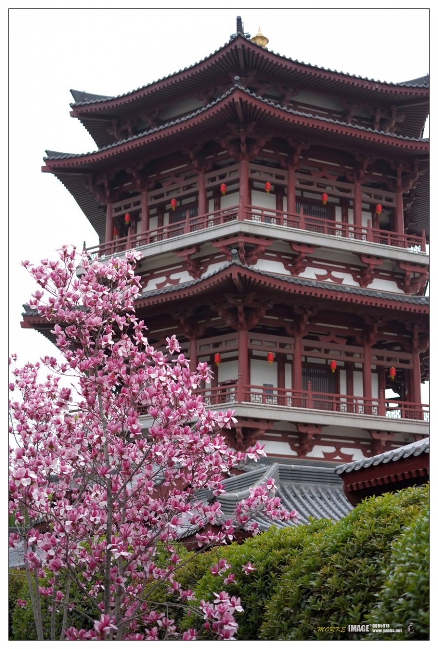 DSCF7241a.jpg