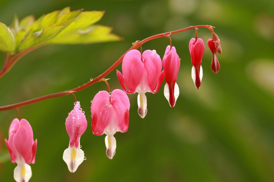 调整大小 IMG_5887s.jpg