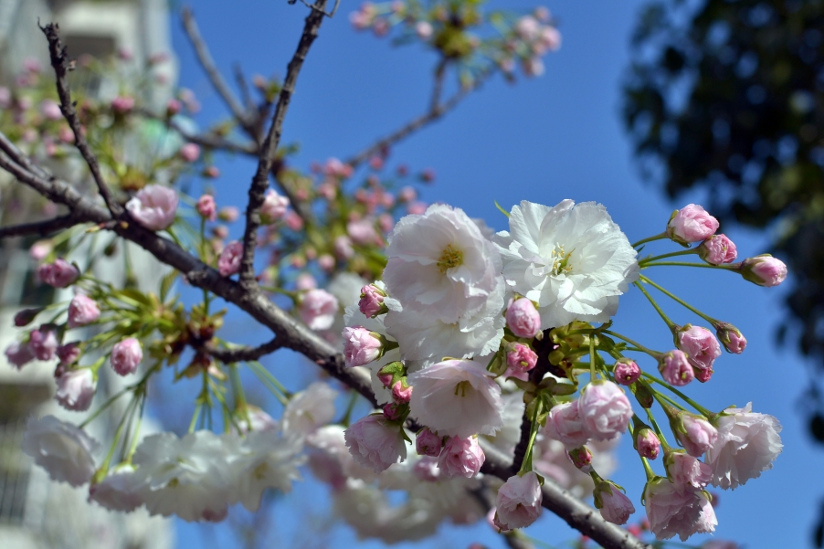 DSC_0479副本.jpg