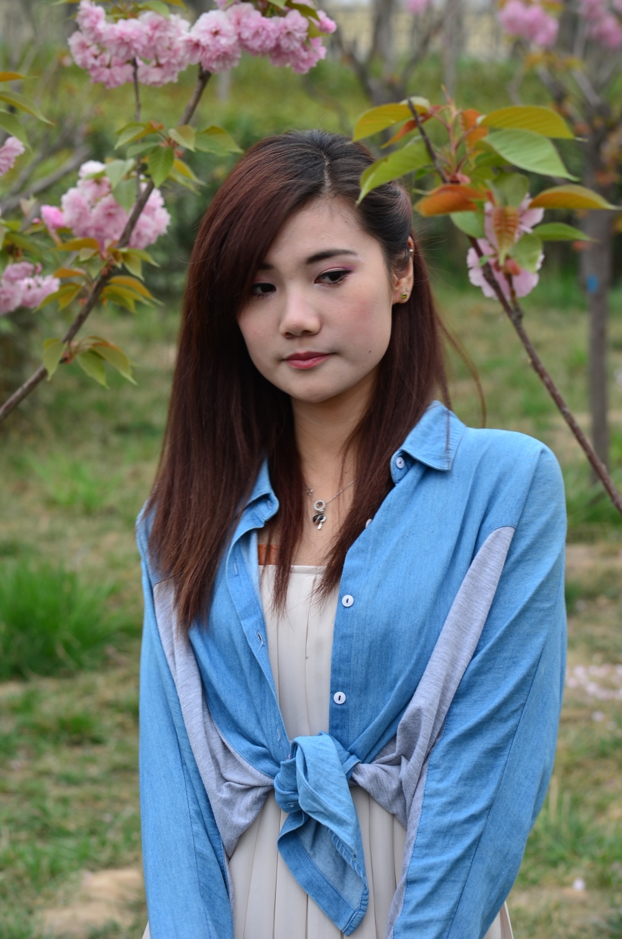 DSC_1445.JPG