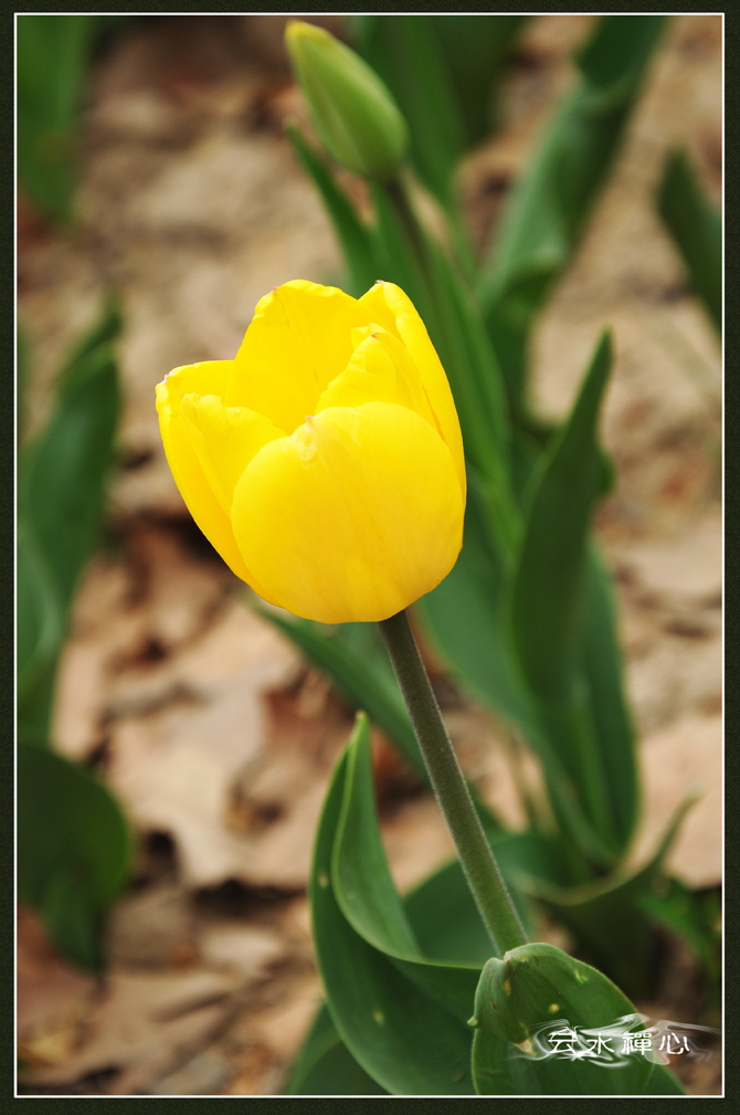 DSC_0052.JPG