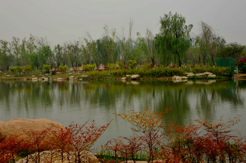 DSC_5948.jpg