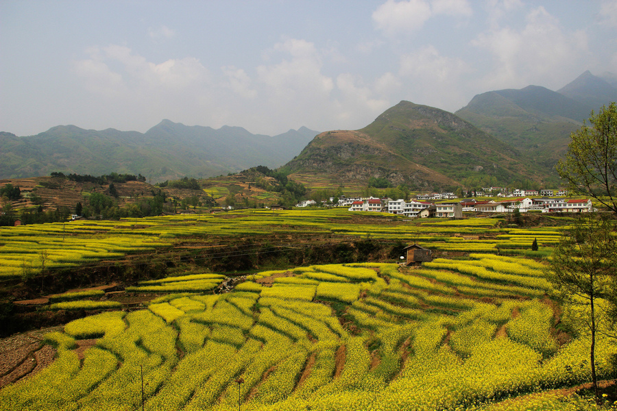 IMG_3767_副本.jpg