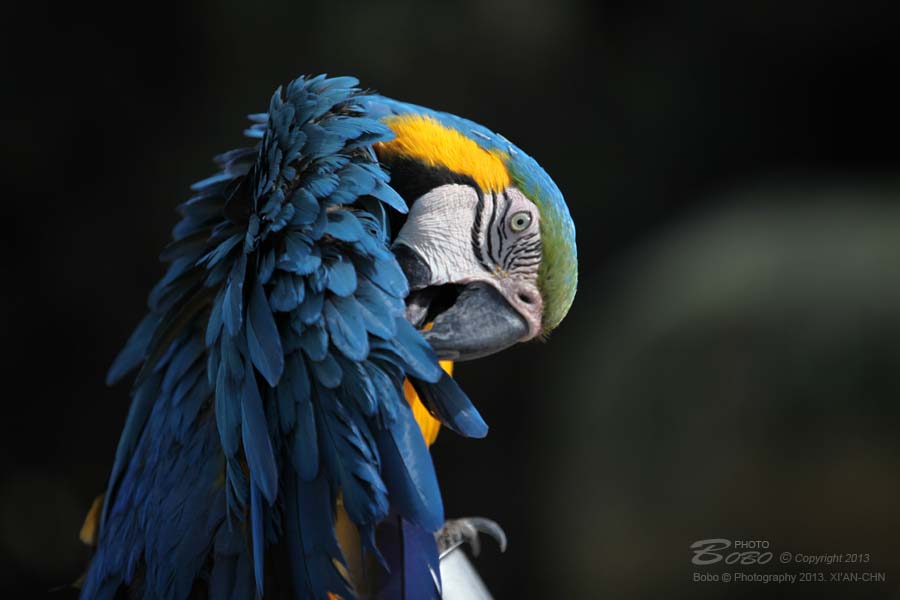 照片 095 拷贝.jpg