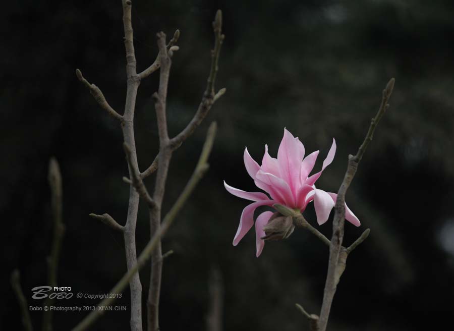 照片 002 拷贝.jpg