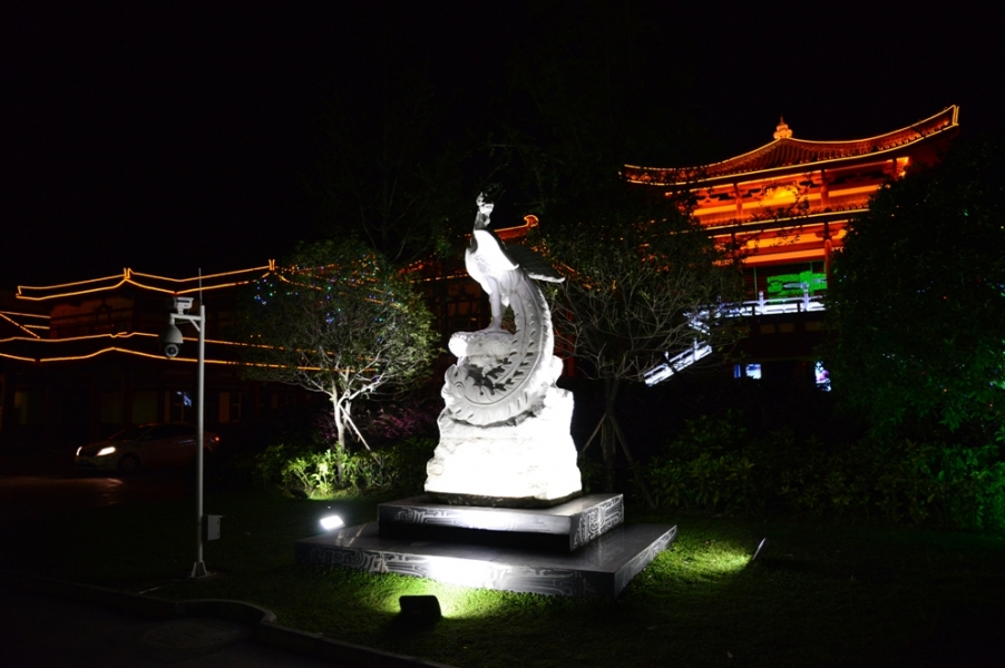 DSC_1275.JPG