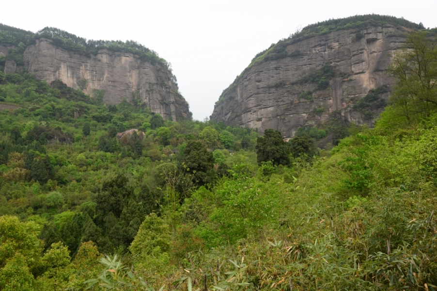 DSC_1064.JPG