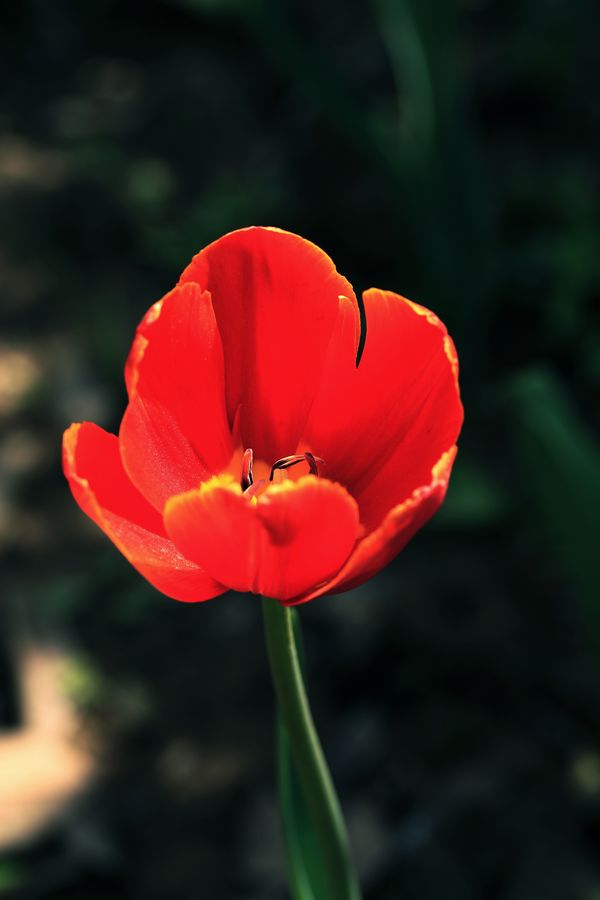 学0040.JPG