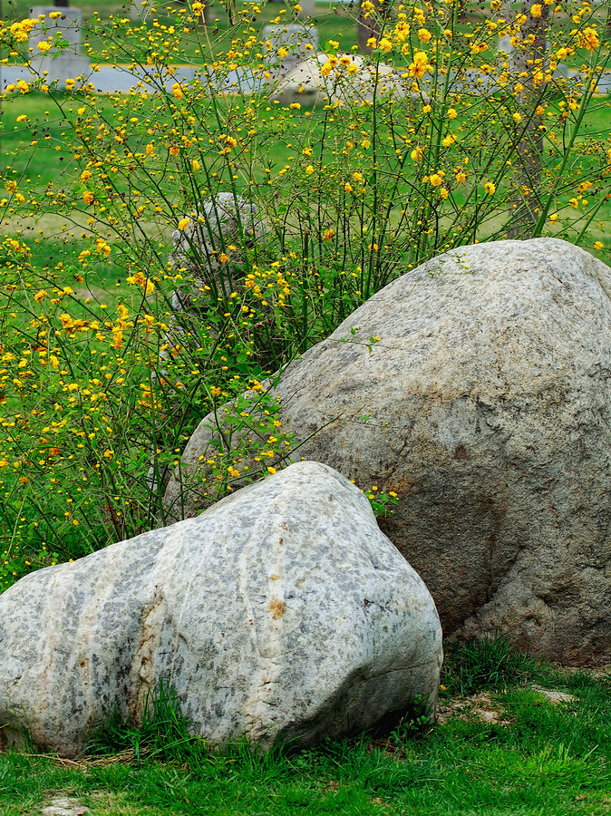 _MG_8323.jpg