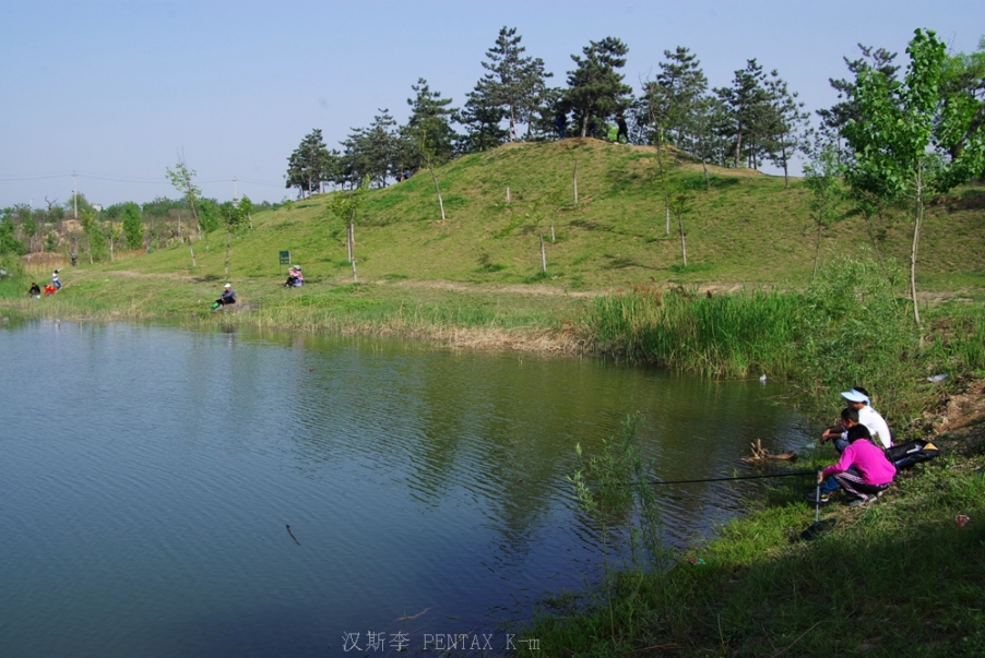 IMGP3621.jpg