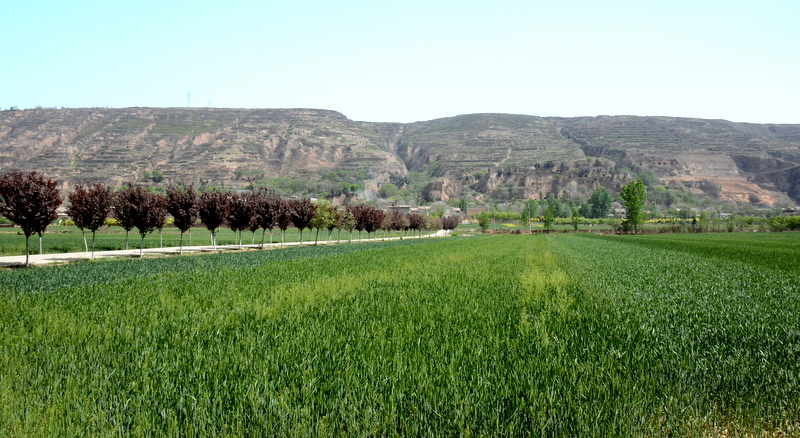 DSC_2984.JPG