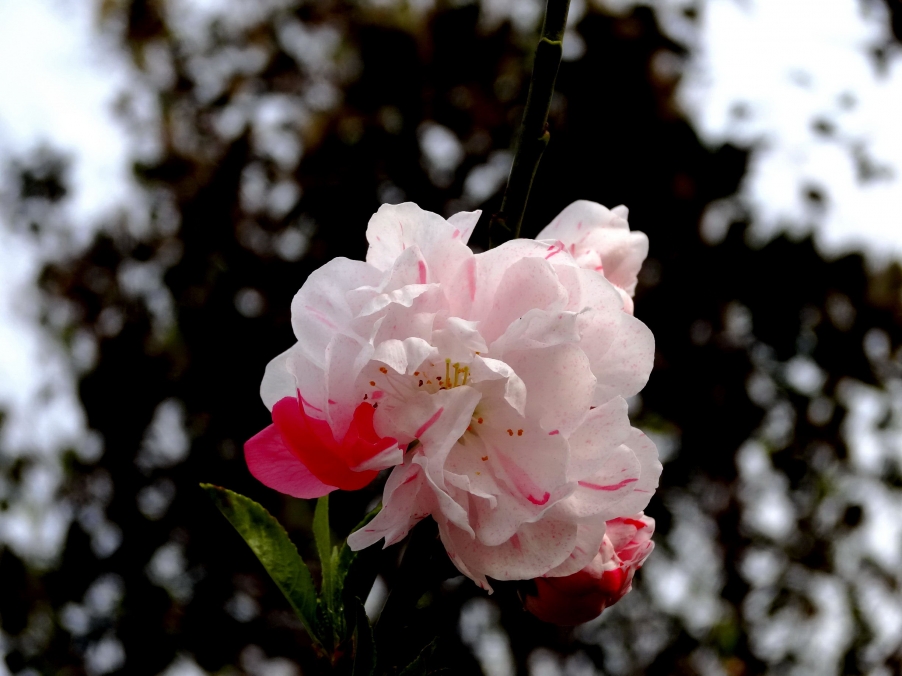 DSC00283A_调整.jpg