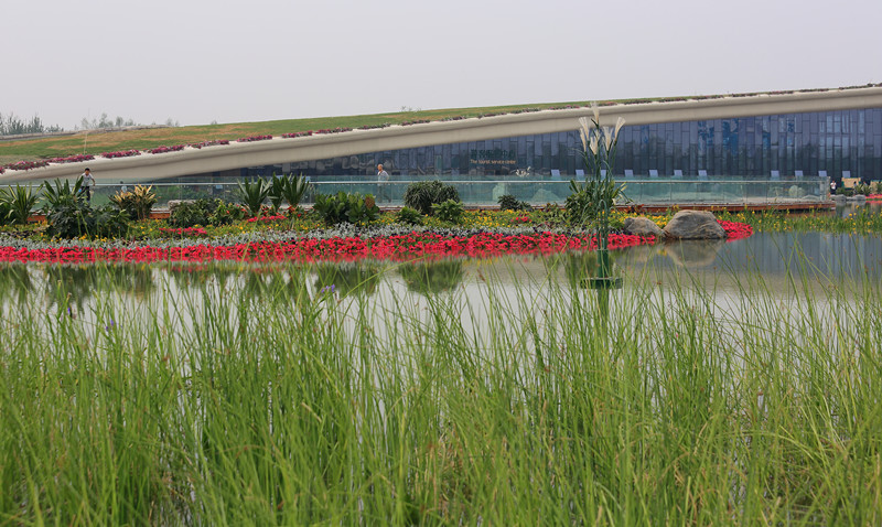 DPP_0028_副本.jpg