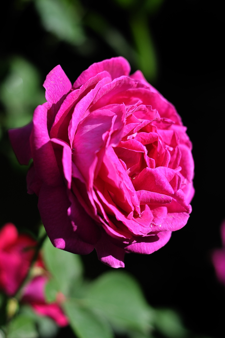 DSC_6053.jpg