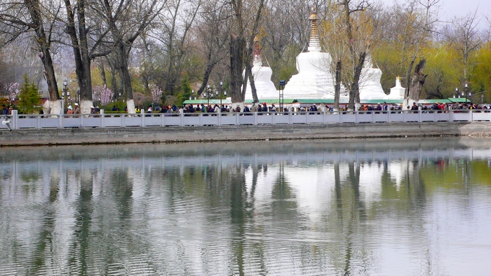 P1130376.JPG