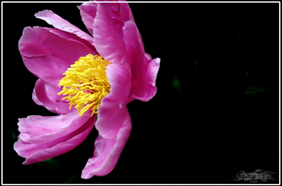 DSC_0043.JPG