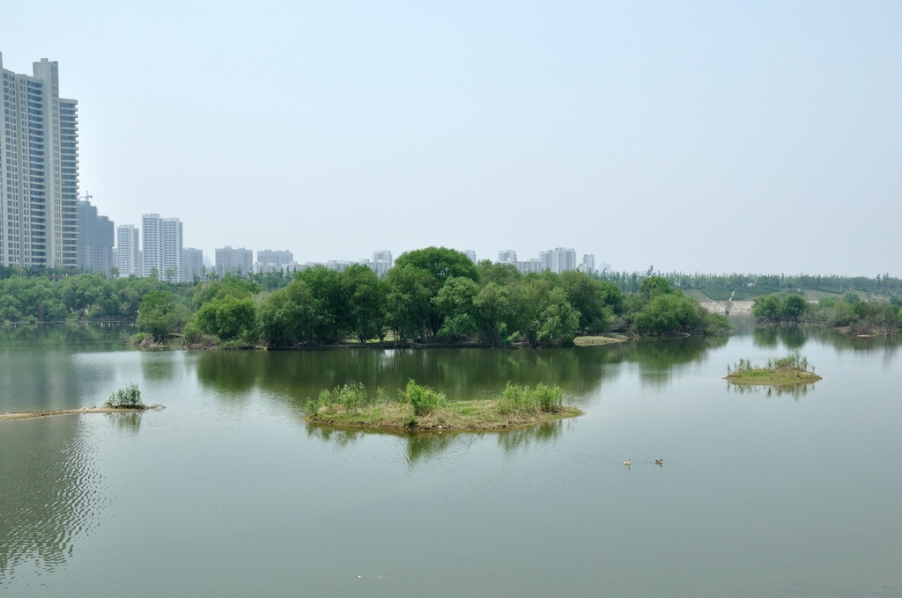 DSC_0033副本.jpg