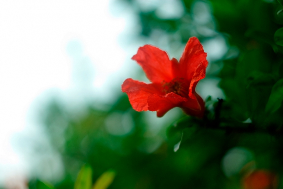 IMGP3790.jpg