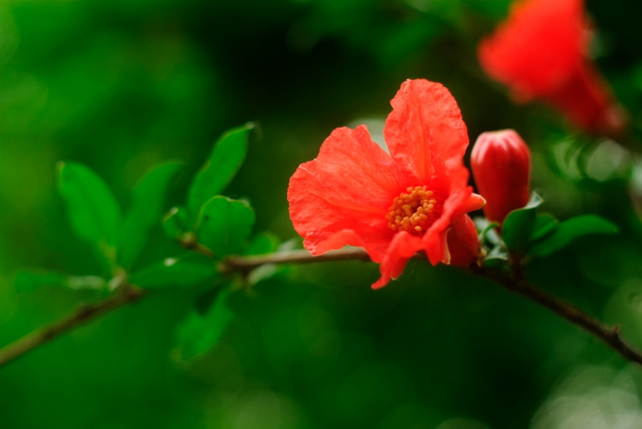 IMGP3769.jpg