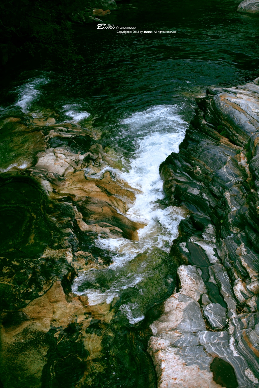 IMG_9602.jpg