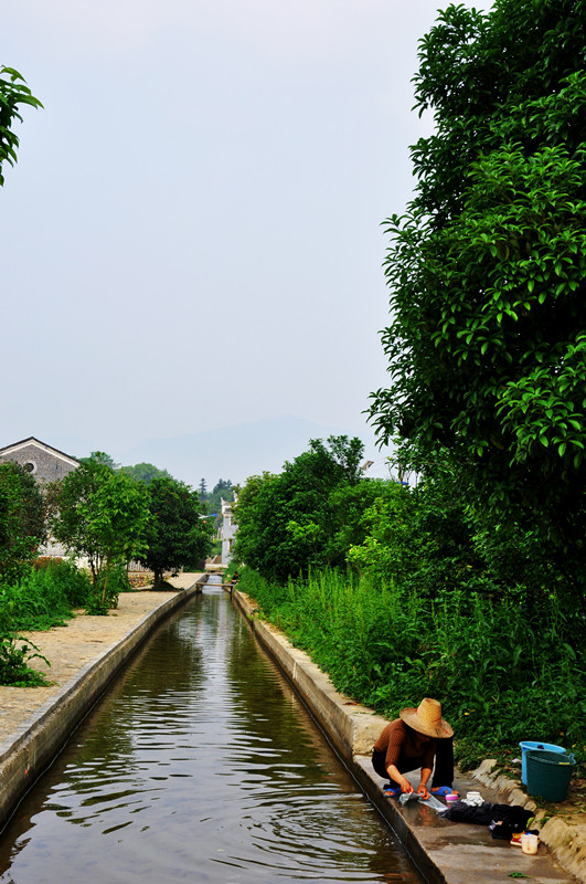 DSC_5278副本_副本.jpg