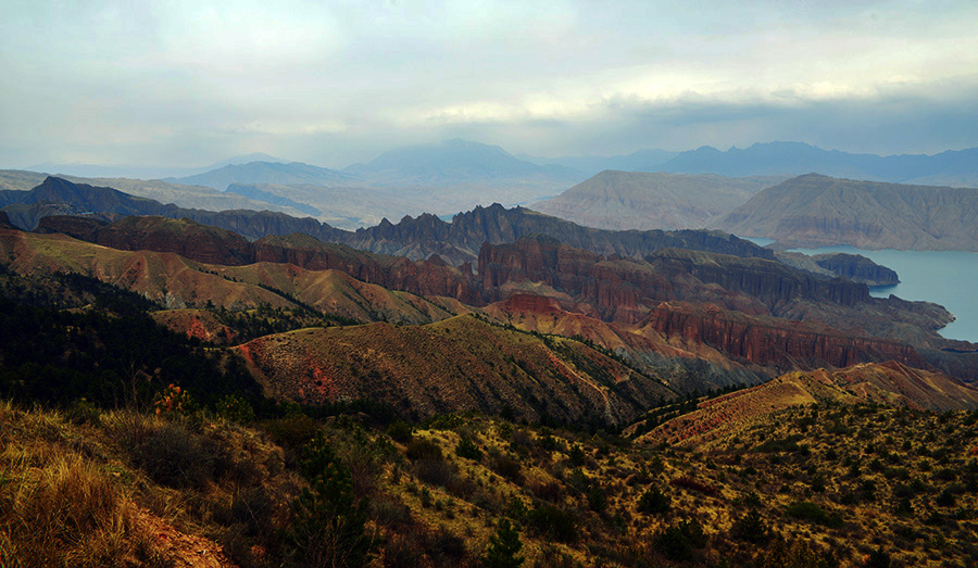 DSC_1339.jpg