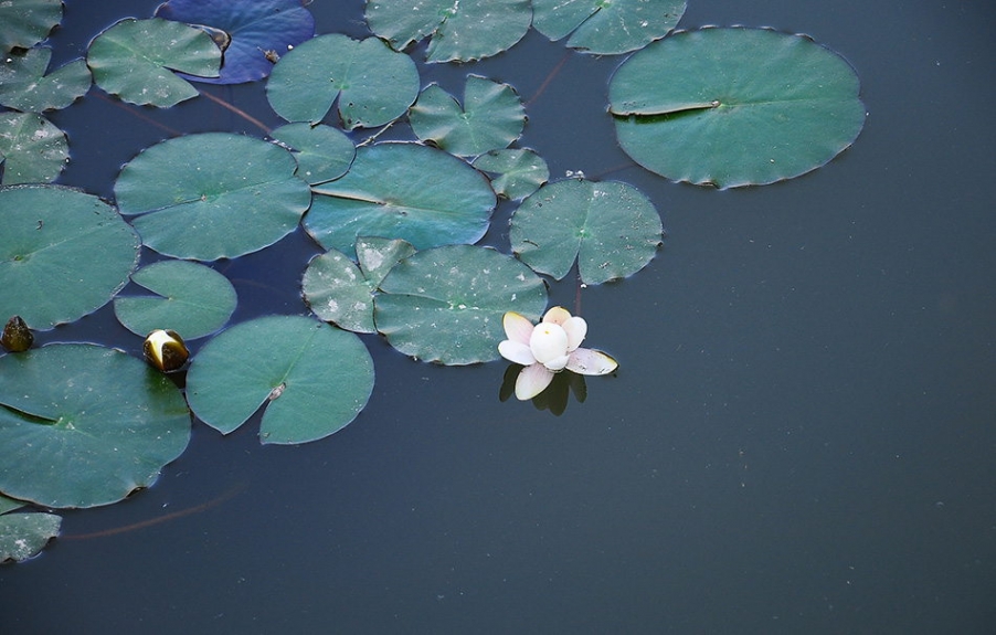 DSC_0765_副本.jpg