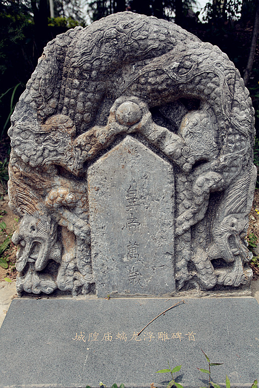 紫阳 280_副本.jpg