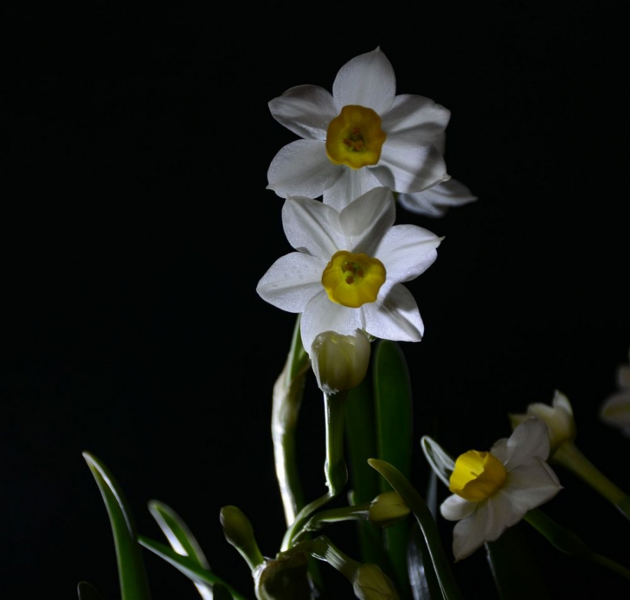 DSC_7569.JPG