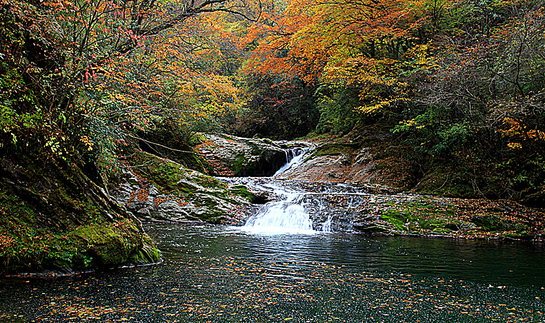 照片 202_副本.jpg