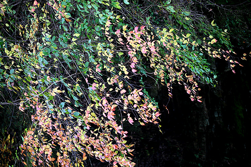 照片 408_副本.jpg