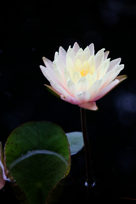 IMG_0726_副本.jpg