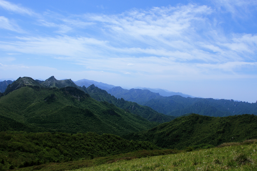 秦岭光头山10.JPG