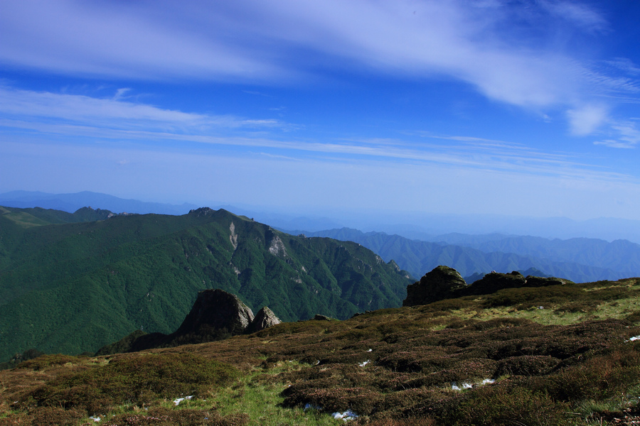 秦岭光头山27.JPG
