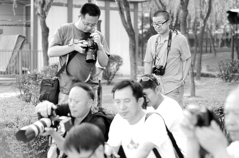 DSC_5165_副本.jpg